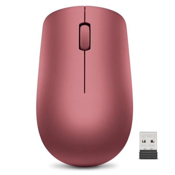 Lenovo Professional Wireless Keyboard & Mouse Combo